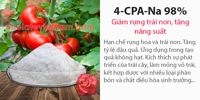 Bán 4-CPA-Na 98% (Hạn chế rụng trái non, tăng năng suất)